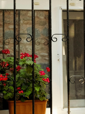 Portail en fer forgé avec style art déco